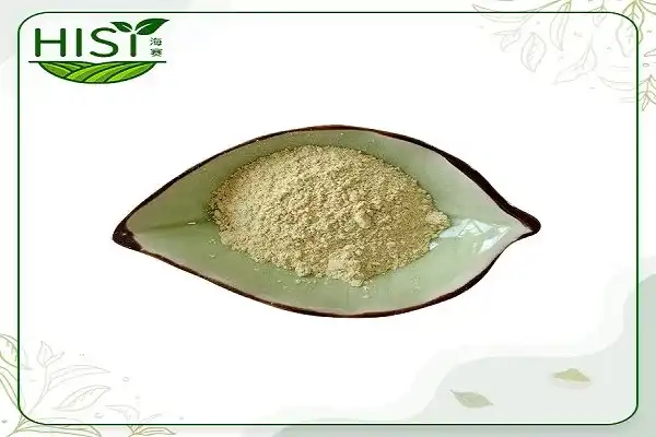 Why Do Experts Recommend Soybean Isoflavones for Bone Health?